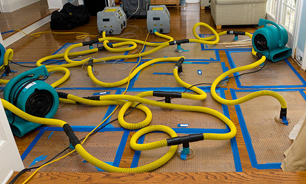 Professional Sewage Cleanup technician working in Kansas City, MO